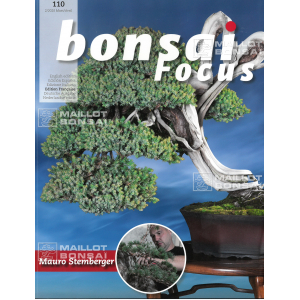 BONSAI FOCUS N° 110