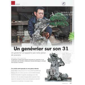 BONSAI FOCUS N° 112