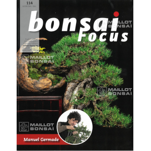 bonsai-focus-n-114