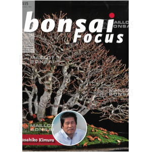 BONSAI FOCUS N° 115