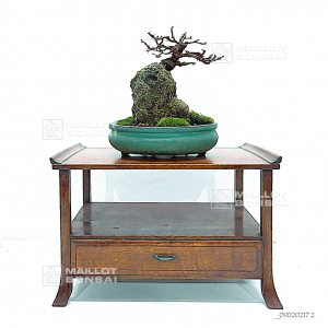 vendu-rosier-ref-09020217