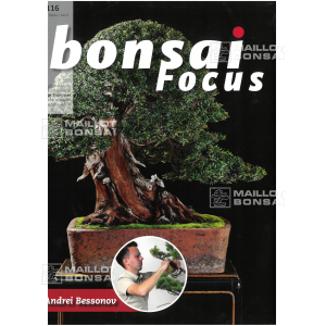 bonsai-focus-n-116
