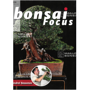 VENDU BONSAI FOCUS N° 116