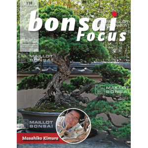 BONSAI FOCUS N° 118