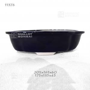pot-11376