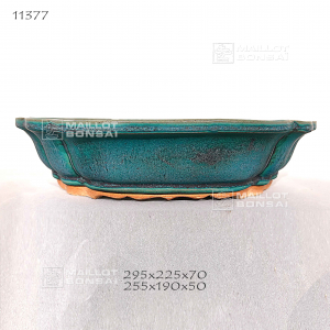 pot-11377