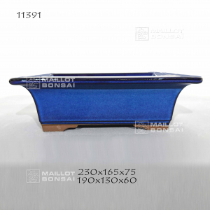 pot-11391