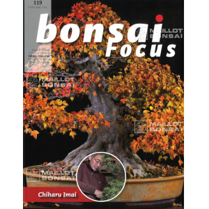 bonsai-focus-n-119