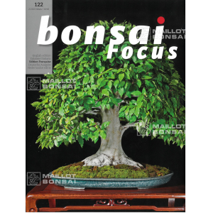 bonsai-focus-n-122