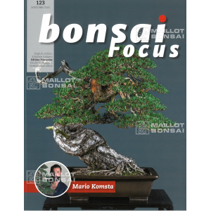 bonsai-focus-n-123