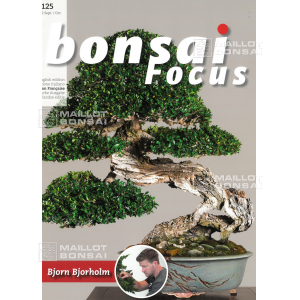BONSAI FOCUS N° 125
