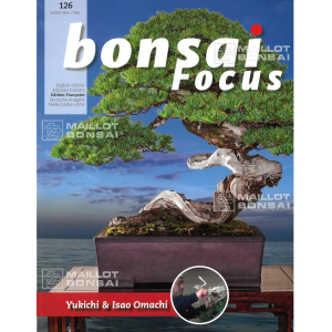 bonsai-focus-n-126