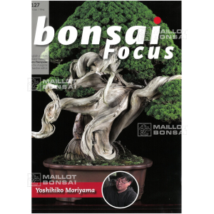 BONSAI FOCUS N° 127