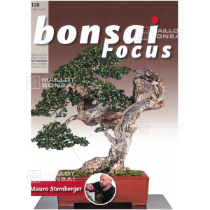 bonsai-focus-n-128