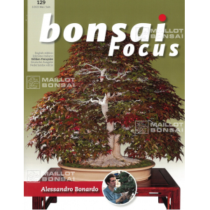 bonsai-focus-n-129