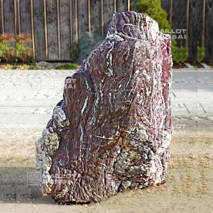 Roche samba N°12352 EXTRA