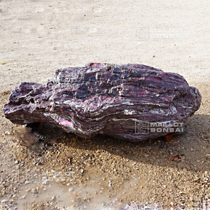 Roche samba N°12353 EXTRA