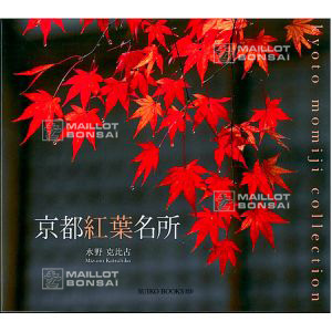 kyoto-momiji-collection