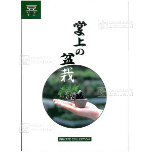 vendumini-bonsai-les-mame-bonsai