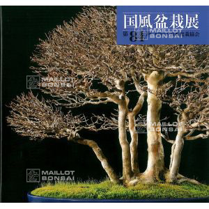kokufu-ten-bonsai-book-84-2010-year