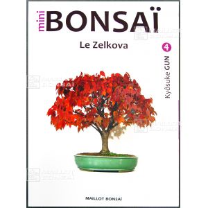 Mini bonsai N°4  le zelkova Kyosuke Gun