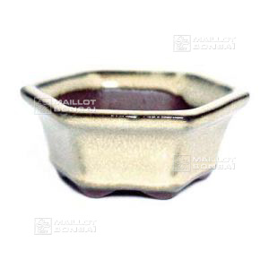 E1 hexagonal beige