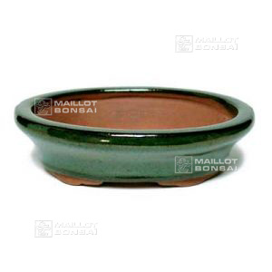 O1 oval green pot