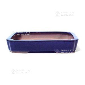 rectangular-small-blue-bonsai-pot