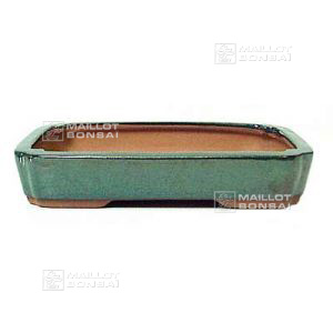 rectangular-big-green-bonsai-pot