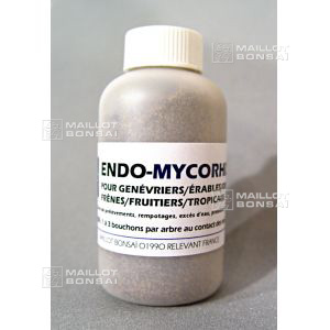 Endo mycorhize tropical and fruit bonsai treatment