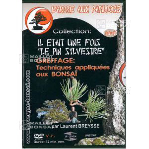vendudvd-il-etait-une-fois-le-pin-sylvestre