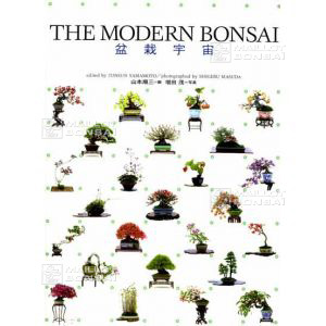 the-modern-bonsai