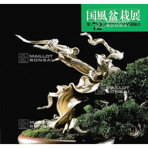 livre-du-kokufu-ten-expo-72-eme-(1998)