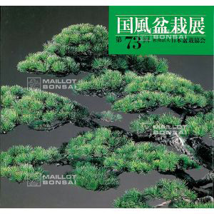 livre-du-kokufu-ten-expo-73-eme-(1999)