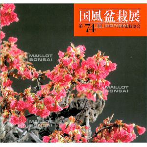 livre-du-kokufu-ten-expo-74-eme-(2000)