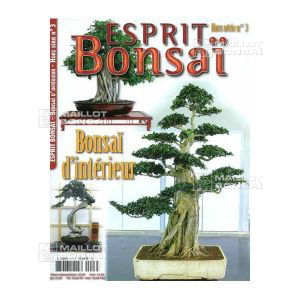 venduhors-serie-n-3-bonsai-d-interieur