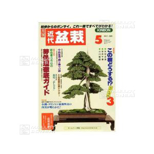 vendukindai-bonsai-magazine-05-00