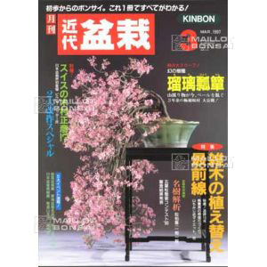 vendukindai-bonsai-magazine-03-1997