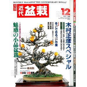 vendukindai-bonsai-magazine-12-96