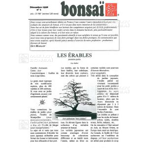 n-1-acer-palmatum-erable-palme