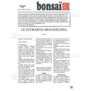 n-6-stewartia-monadelpha