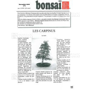 n-9-carpinus-charme