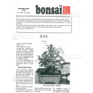 n-13-ilex-houx