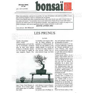 n-14-prunus-prunier