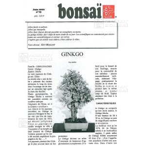 n-15-ginkgo-biloba-arbre-aux-40-ecus