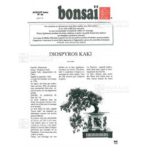 n-22-diospyros-kaki-kaki