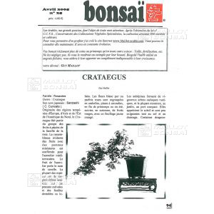 n-25-crataegus-aubepine