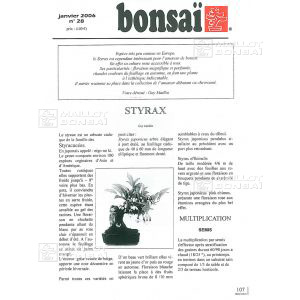 n-28-styrax-japonica