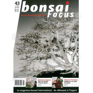 vendu-focus-n-43