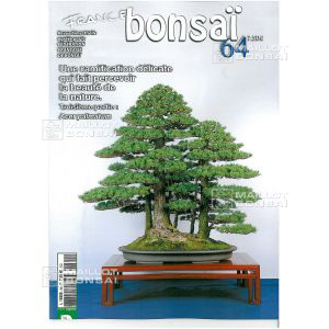 epuisefrance-bonsai-n-64